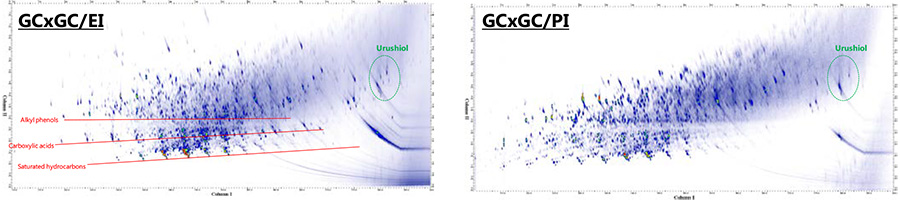 GCxGC/EI 및 PI TIC 크로마토그램