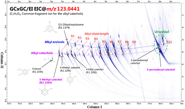 GCxGC/EI EIC chromatogram using m/z 123.0441 (C7H7O2)±0.01