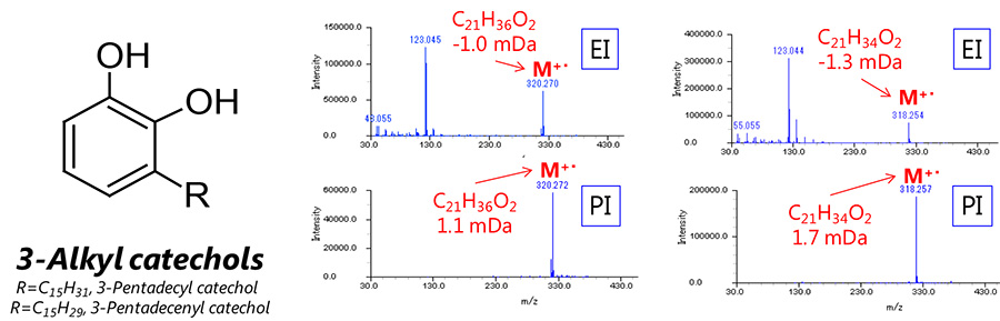 Масс-спектры 3-пентадецилкатехола (слева) и 3-пентадеценилкатехола (справа)