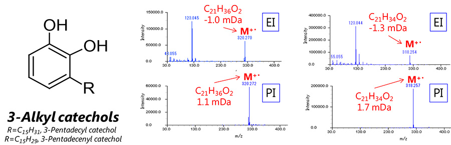 แมสสเปกตรัมสำหรับ 3-Pentadecyl catechol (ซ้าย) และ 3-Pentadecenyl catechol (ขวา)