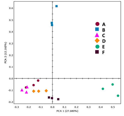 График оценки PCA для образцов поливинилацетата.