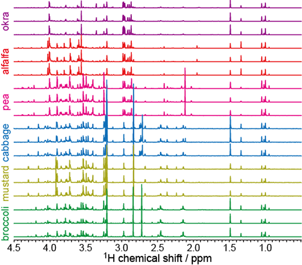 SSeries of 1H spectra of polar metabolites in sprouts