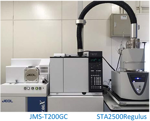 TG TOFMS system