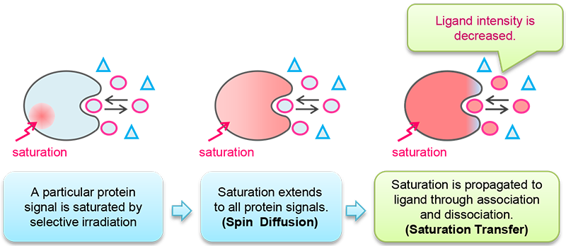 The NMR application for medicinal screening