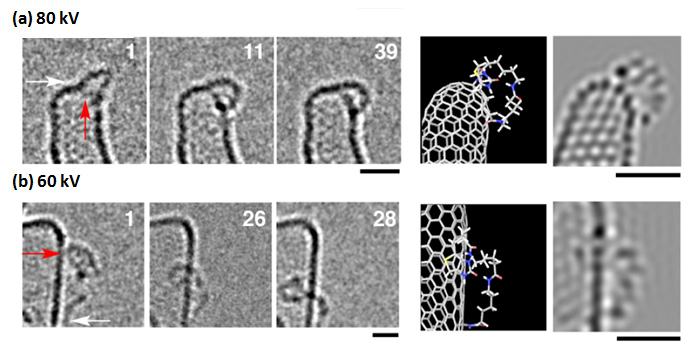 Single-molecule atomic-resolution real-time TEM imaging