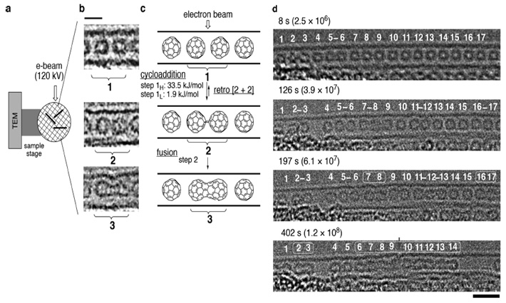 Single-molecule atomic-resolution real-time TEM imaging