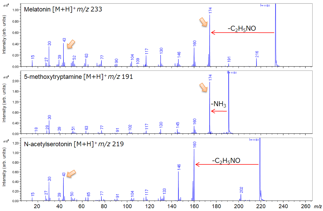 멜라토닌, 5-메톡시트립타민 및 N-아세틸세로토닌의 생성물 이온 스펙트럼