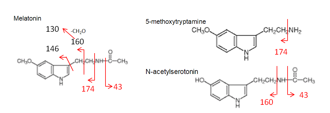 멜라토닌, 5-메톡시트립타민 및 N-아세틸세로토닌의 단편화 채널