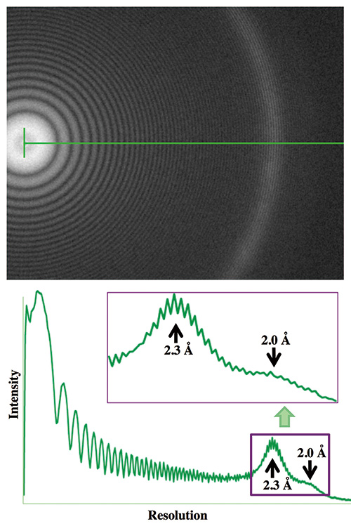 Thon ring of the Pt/Ir thin ﬁlm image recorded with the prototype CRYO ARM(TM).