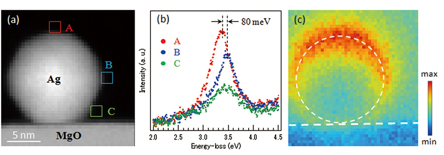 Localized surface plasmon excited in a silver NP supported on MgO crystal