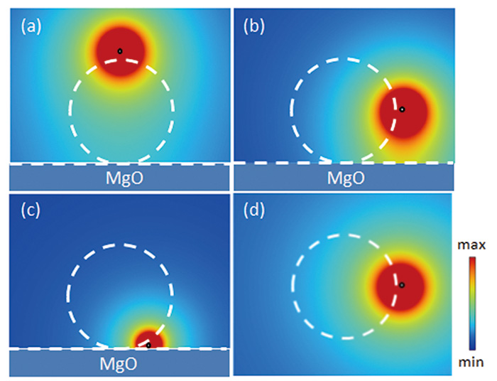 Distributions of applied electric field calculated by DDELS