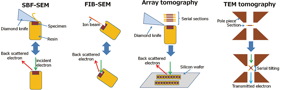 Schematic diagram of 3D reconstruction methods.