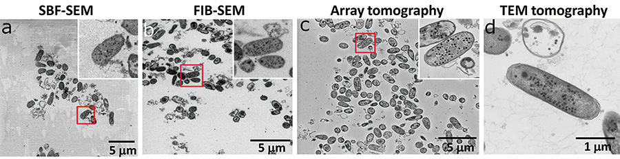 Comparison of observation area and image quality of each method.