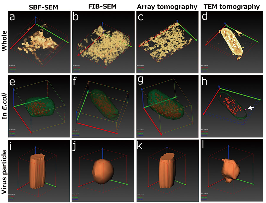 Comparison of 3D reconstruction results.