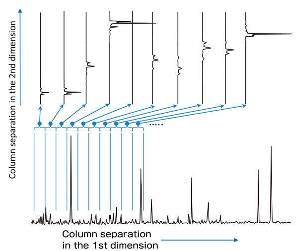 Conceptual view of 2D chromatogram obtained with GC×GC