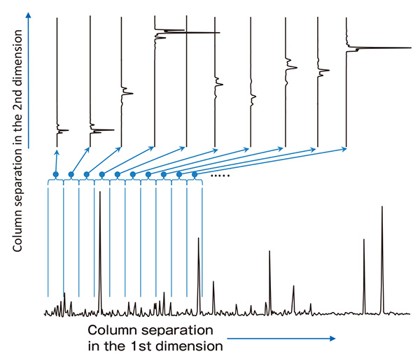 GC×GC로 얻은 2D 크로마토그램의 개념도