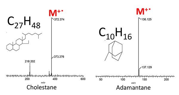 Cholestane 및 Adamantane의 PI 질량 스펙트럼