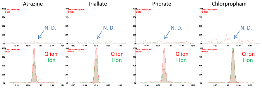 รูปที่ 1 SRM chromatograms, ด้านบน: สารละลายสารสกัดจากผักโขมเท่านั้น, ด้านล่าง: สารกำจัดศัตรูพืช 10ppb ในสารละลายสารสกัดจากผักโขม