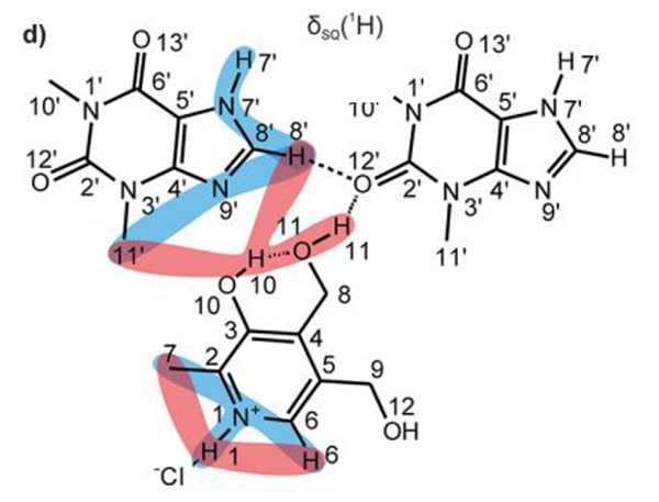 Scheme of the main spatial proximities of THEO)/(Pyr)H+Cl- as found in the 14N-1H D-HMQC (blue), and the 1H-1H DQ MAS (red).