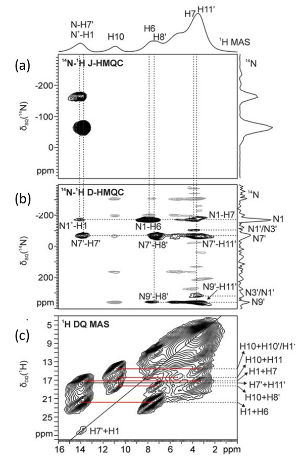 (a) 14N-1H J-HMQC, (b) 14N-1H D-HMQC и (c) 1H DQ MAS-спектры для THEO/PyrH+Cl-, полученные при 70 кГц MAS.