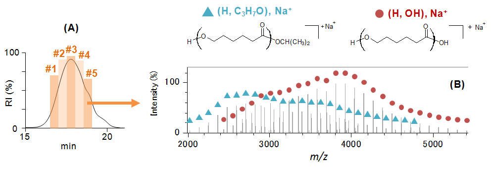 Fig. 1. (A) SEC chromatogram. (B) Mass spectrum of fraction 5