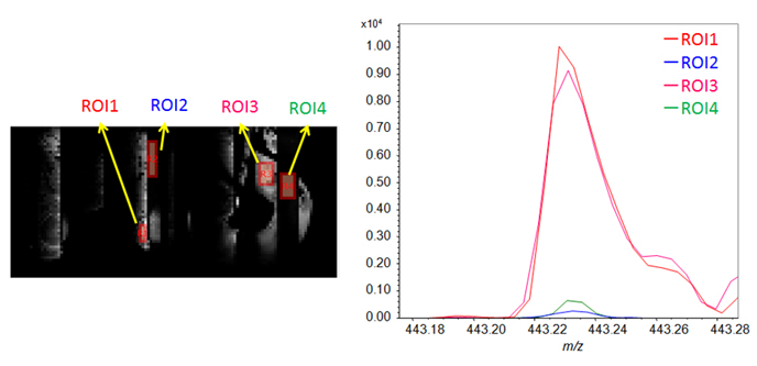 그림 4. 금 증착이 없는 모델 기판의 전도성 부품(ROI1 및 -3)과 비전도성 부품(ROI2 및 -4)의 ROI 질량 스펙트럼.