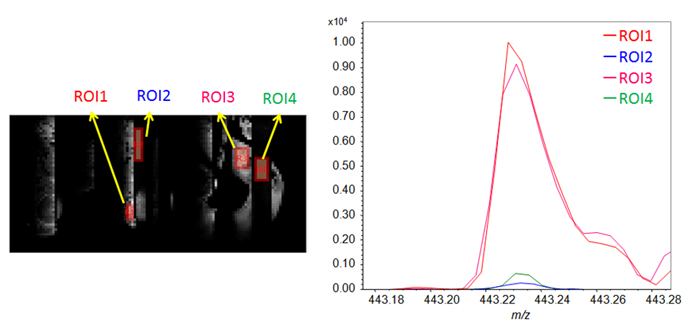 รูปที่ 4 สเปกตรัมมวล ROI จากชิ้นส่วนนำไฟฟ้า (ROI1 และ -3) และชิ้นส่วนที่ไม่นำไฟฟ้า (ROI2 และ -4) บนพื้นผิวแบบจำลองที่ไม่มีการสะสมของทอง