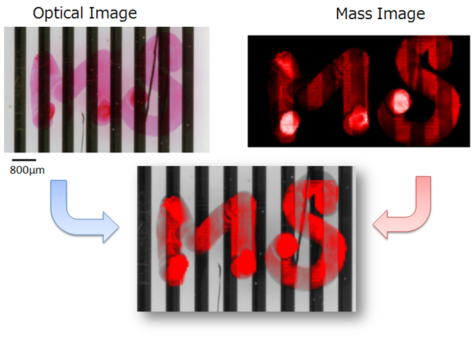 Figure 5. The result of MSI measurement with gold deposition