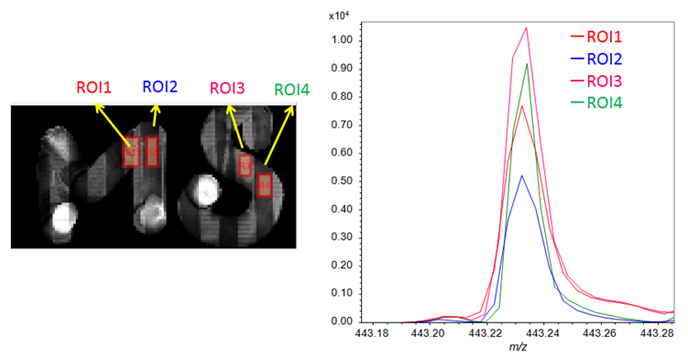 그림 6. 금 증착이 있는 모델 기판의 전도성 부품(ROI1 및 -3)과 비전도성 부품(ROI2 및 -4)의 ROI 질량 스펙트럼.