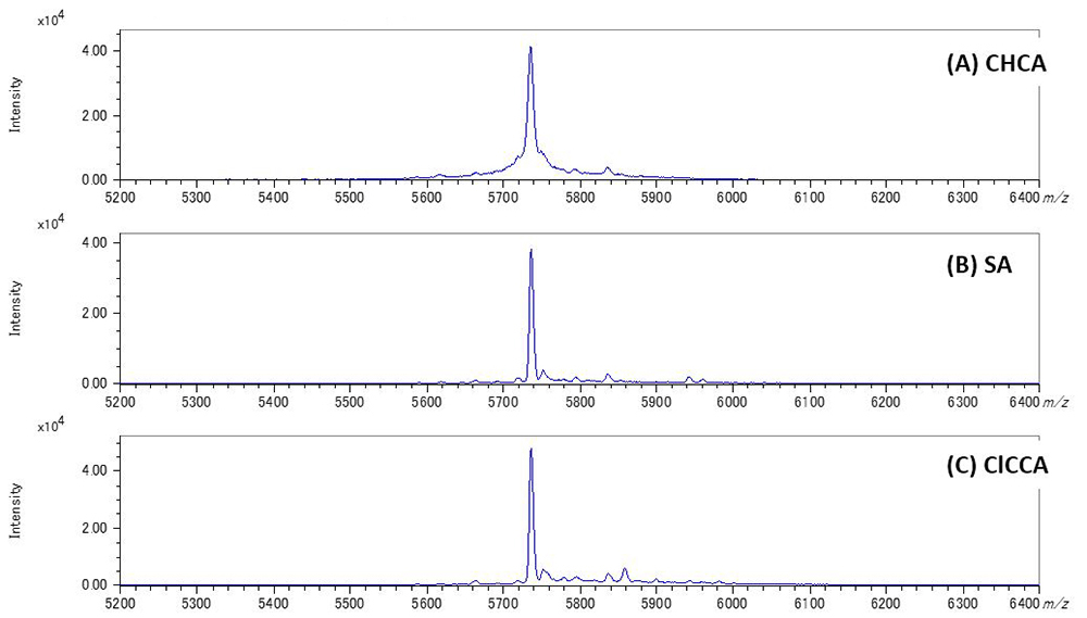 รูปที่ 1 แมสสเปกตรัมของอินซูลินที่ได้มาโดยใช้โหมด LinearTOF ด้วยเงื่อนไขเมทริกซ์ (A) CHCA, (B) SA และ (C) ClCCA