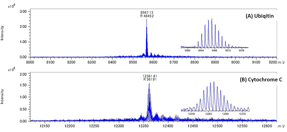 Рисунок 3. Масс-спектры убиквитина (А) и цитохрома С (В) в режиме SpiralTOF с использованием ClCCA.