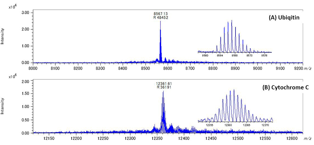 Rajah 3 Spektrum jisim ubiquitin (A) dan sitokrom C (B) dengan mod SpiralTOF menggunakan ClCCA