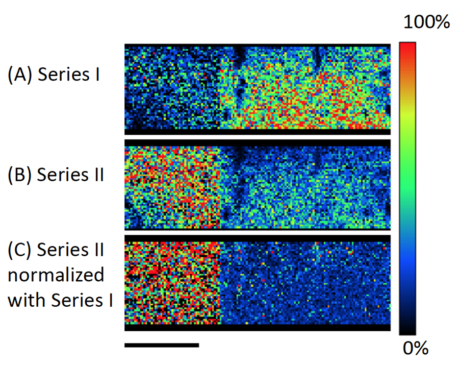 รูปที่ 4 รูปภาพของ cyclic oligomer ของ PET series (Series I) (A), PET polymer series ที่สลายด้วยรังสีอัลตราไวโอเลต (series II) (B) และภาพปกติของ series II โดยภาพของ seriseI (C)