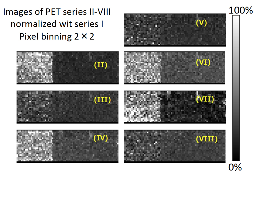 รูปที่ 5 ภาพของ PET series II –VIII ที่ทำให้เป็นมาตรฐานด้วยภาพของ PET series I