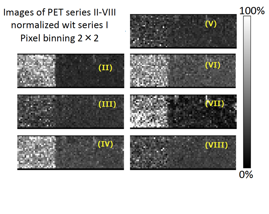 Fig. 5 Images of PET series II –VIII normalized with image of PET series I.