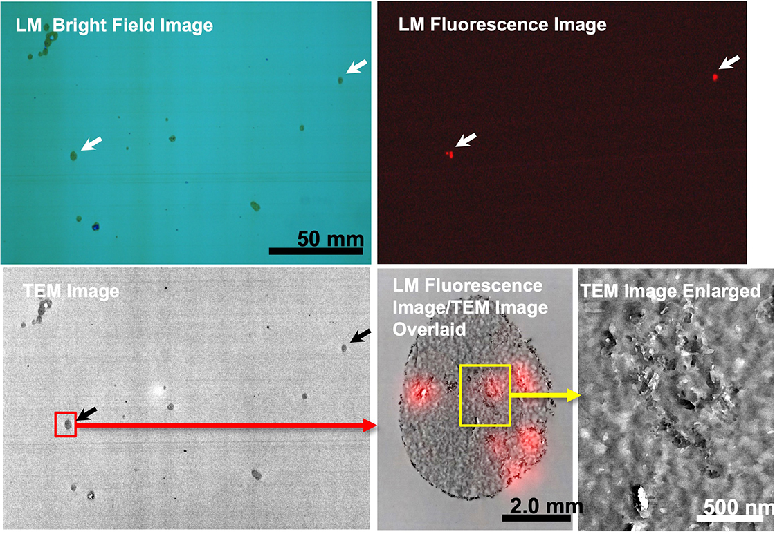 Identification of fine particles emitting fluorescence in toner