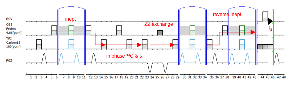 รูปที่ 2： การทดลองแลกเปลี่ยน 1H13C ZZ