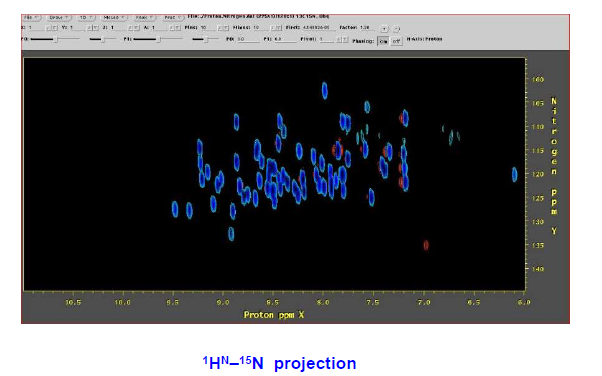 1HN-15N projection