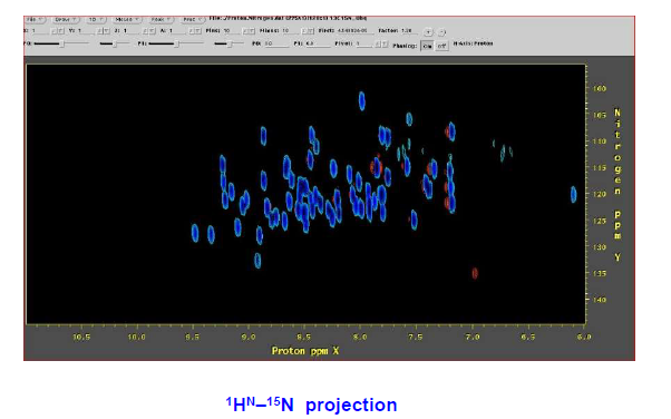 การฉายภาพ 1HN-15N