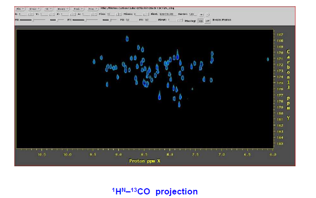 1HN-13CO projection