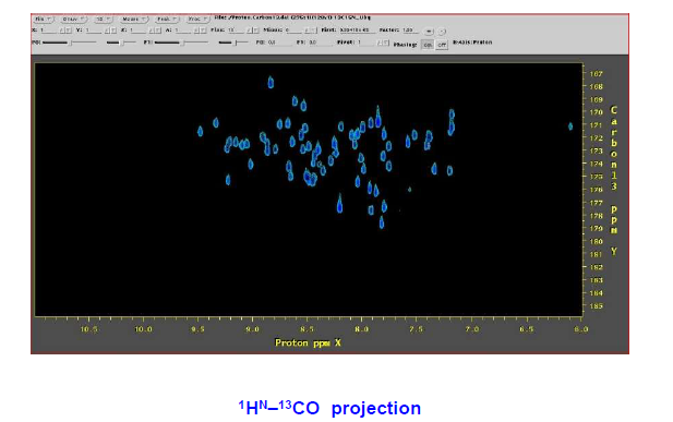 การฉายภาพ 1HN-13CO