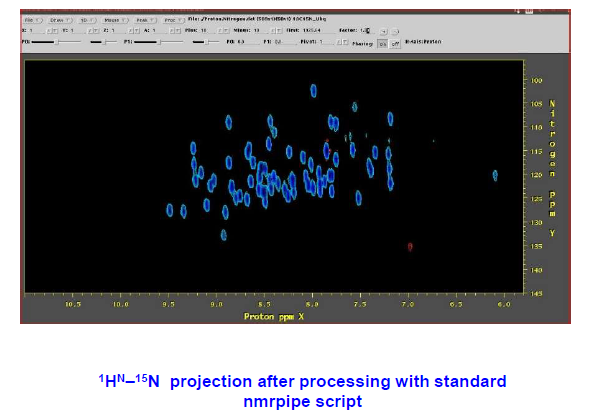 1HN-15N projection after processing with standard nmrpipe script