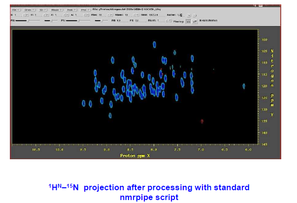 การฉายภาพ 1HN-15N หลังจากประมวลผลด้วยสคริปต์ nmrpipe มาตรฐาน