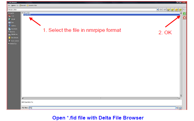 Open fid file with Delta File Browser