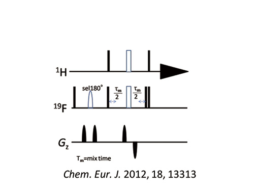 Fig. 3: pulse sequence of 1D 1H-19F HOESY