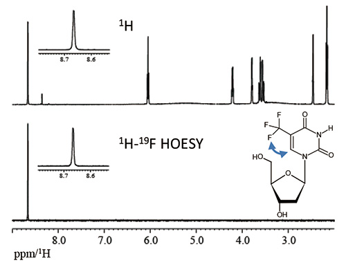 Fig. 4: 1D 1H-19F HOESY spectrum