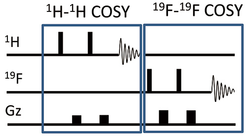 Последовательность импульсов Interleaved COSY