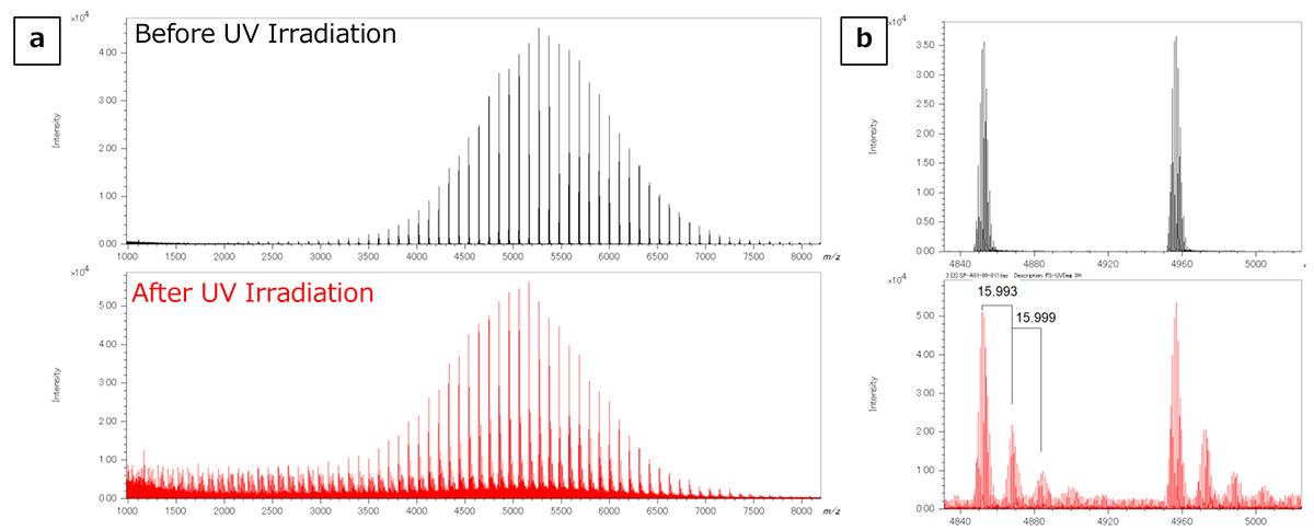 Figure 3 Mass spectra of PS before and after UV irradiation using MALDI-TOFMS