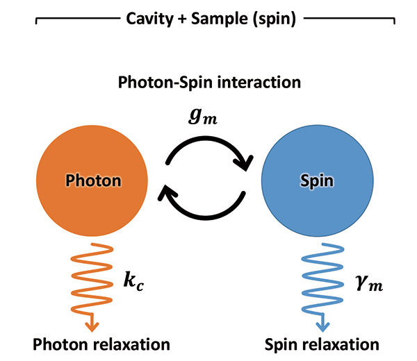 Fig.1 Energy flow in spin–cavity system.