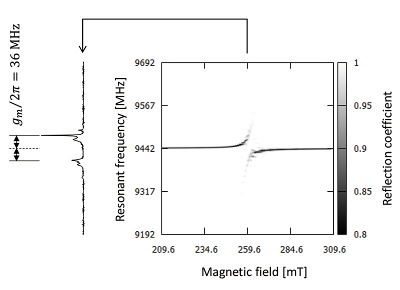 Fig. 2　An example of frequency spectra of YIG-CMP system.